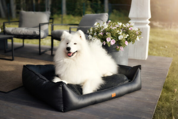 Diivan Original Fluffy